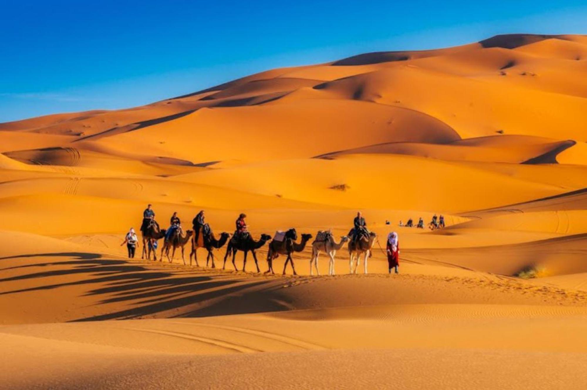 Luxury Merzouga Desert Camp エクステリア 写真
